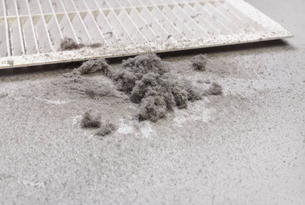 Best Local Air Duct Cleaning Services  in Parks, AZ
