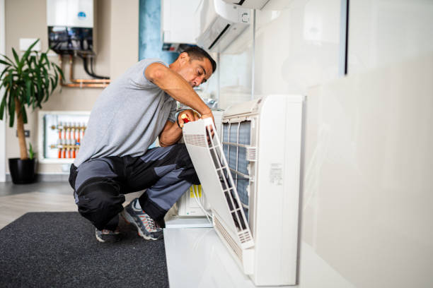 Best Home Air Vent Cleaning  in Parks, AZ